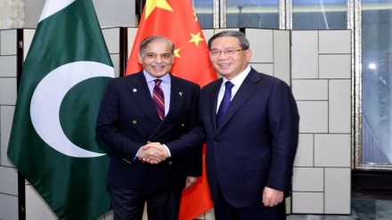 中国愿与巴基斯坦继续加强共建“一带一路”合作