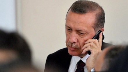 Туркия президенти ва НАТО Бош котиби телефон орқали суҳбатлашди