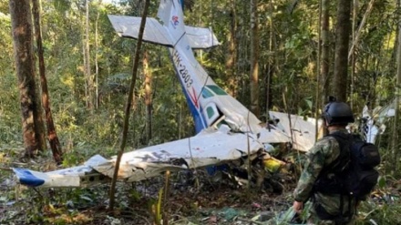 د الوتکې له غورځیدو ۵ اونۍ وروسته ۴ ماشومان ژوندي وموندل شول