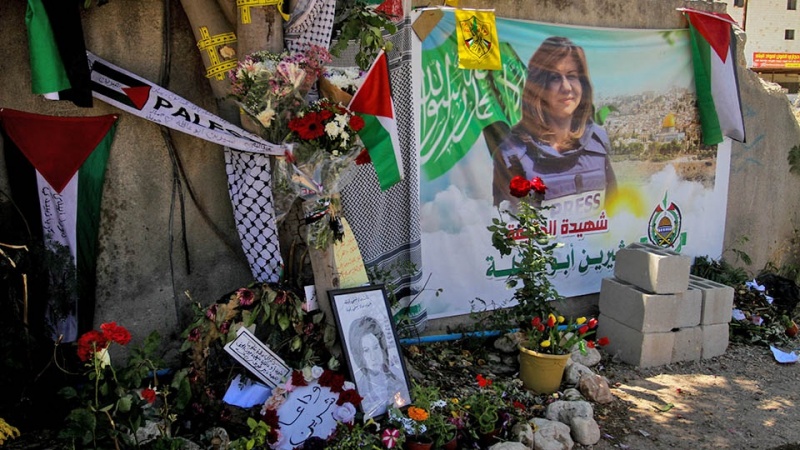 ישראל רוצחת עיתואנים 2