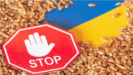 Ungheria e Polonia, grano ucraino è un problema per l'Europa 