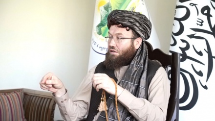 درخواست همکاری طالبان از سازمان ملل در بخش زراعت و مدیریت آب