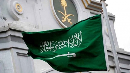 沙特阿拉伯谴责犹太复国主义者在杰宁犯下了的罪行