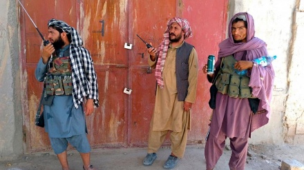  از زمان قدرت گرفتن طالبان در افغانستان بیش از 1000 غیر نظامی کشته شده اند