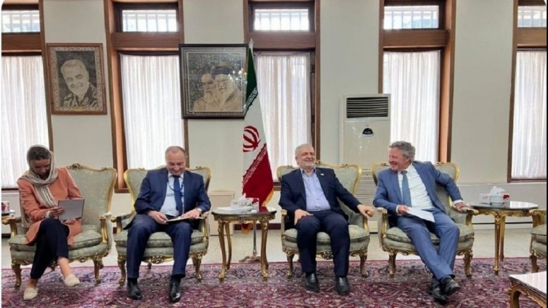 دیدار سفیر ایران در افغانستان با معاون یوناما