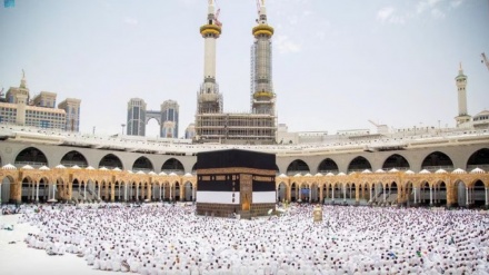 Millions of Muslims begin ‘biggest’ Hajj pilgrimage in years in Mecca 