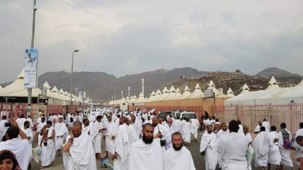 اعزام حجاج افغانستانی از ایران و پاکستان به عربستان 