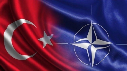 Türkiye Milli savunma bakanı:İkili görüşmelerimizde, NATO'nun 'Açık Kapı Politikası'nı desteklediğimizi belirttik