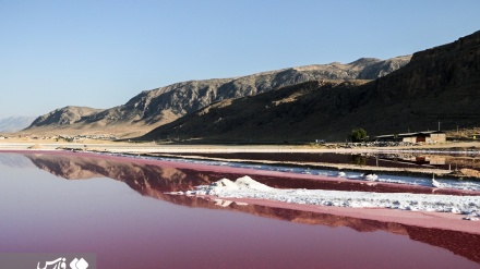 (FOTO) Iran, lago rosa a Shiraz- 2