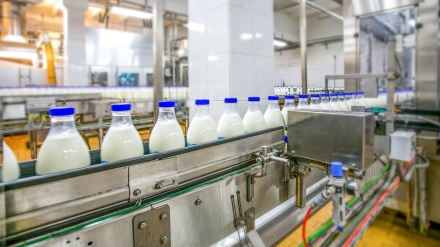 FAO、「イランはアジア最大の乳製品輸出国」