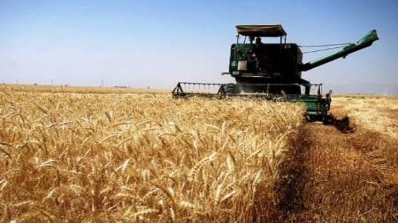 افغانستان و ترکمنستان در زمینه کشاورزی همکاری می‌کنند