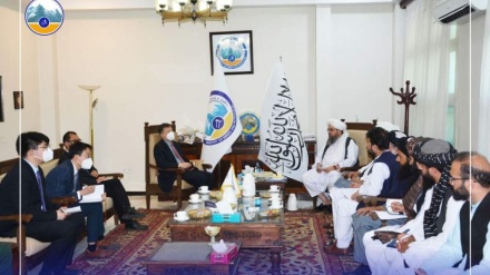 دیدار وزیر معادن طالبان با سفیر چین در افغانستان