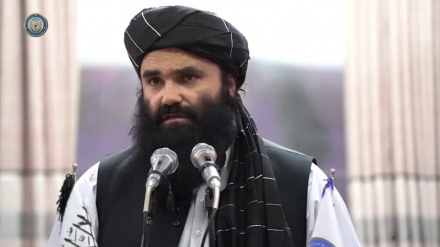 طالبان: توطئه دشمنان برای 