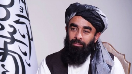 مجاهد گزارش‌ها را درباره قاچاق سلاح به افغانستان رد کرد