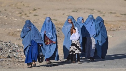  عفو بین‌الملل: زنان افغانستان از جامعه حذف شده‌اند 