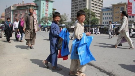 افزایش کودکان کار در افغانستان زیر سلطه طالبان