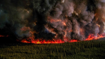 加拿大山火烧毁面积相当于冰岛国土 危险烟雾再次飘入美国