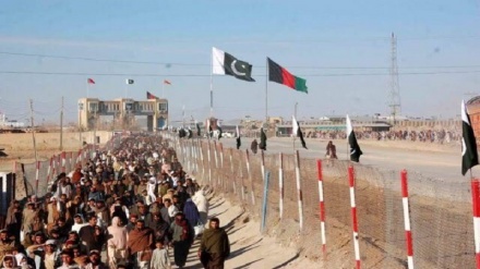 عفو بین الملل: پاکستان به آزار پناهجویان افغان پایان دهد