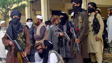  تلاش مجدد کابل برای ازسرگیری گفت وگوهای میان اسلام‌آباد و طالبان پاکستانی 