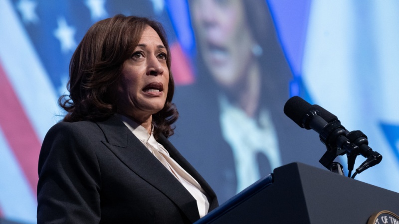 US-Israel Tensions: Harris Criticizes Judicial Overhaul, Receives ...