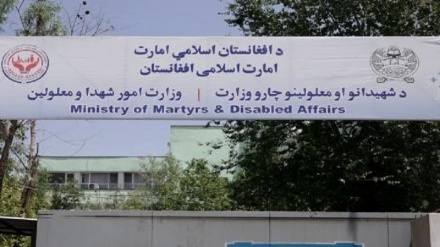 طالبان ثبت‌نام خانواده‌های شهدا، معلولان و کودکان بی‌سرپرست را از سر گرفت