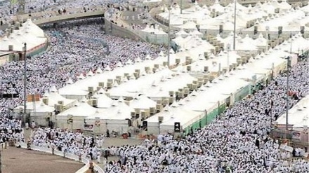 सऊदी अरब में भीषण गर्मी के बावजूद हाजियों की संख्या बनाती रिकॉर्ड, इस साल हज है ख़ास!