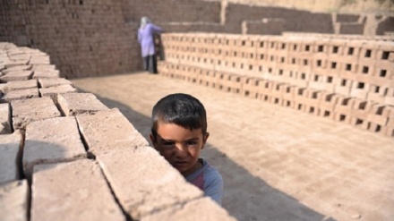 اشتغال صدها کودک در ولایت ننگرهار به کارهای سخت