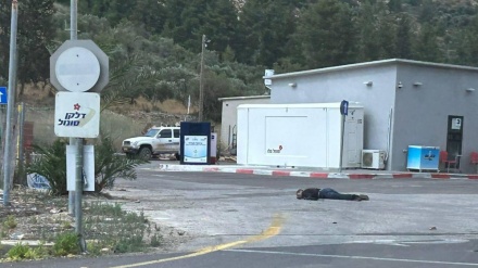  4 illegal Jewsih migrants killed, 4 others wounded in retaliatory Palestinian shooting in West Bank 