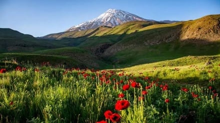 花の咲き乱れるラール平野の絶景