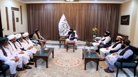 دیدار رهبران قومی هلمند با مولوی عبدالکبیر در کابل 