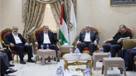 חמאס: מנהיגי התנועה נפגשו עם בכירים במצרים