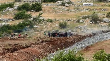מפגינים לבנונים הסירו את גדר התיל שצבא ישראל הניח בגבול