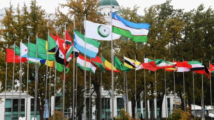 OIC calls for collective measures to prevent future desecration of Qur'an