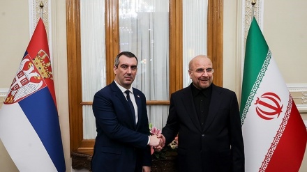 Jumpa Pers Ketua Parlemen Iran dan Serbia (1)