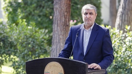 Отношения между Ираном и Агентством основаны на соглашении о гарантиях