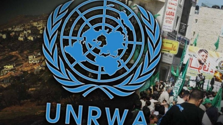 UNRWA.  Առաջիկա ամիսներին Գազայի հատվածում իսկական սով է սպասվում