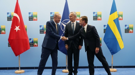 トルコ、スウェーデン、NATOが三者会合で共同声明発表