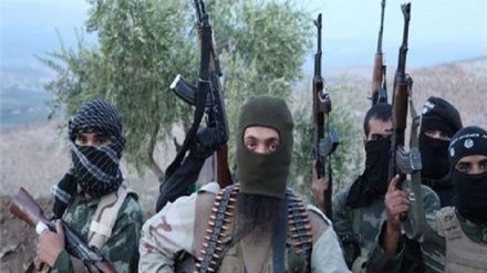  اظهارات یک مقام حکومت طالبان در مورد گروه القاعده 