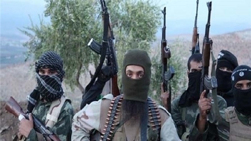 شورای امنیت: القاعده در نهادهای دولتی طالبان نفوذ کرده است