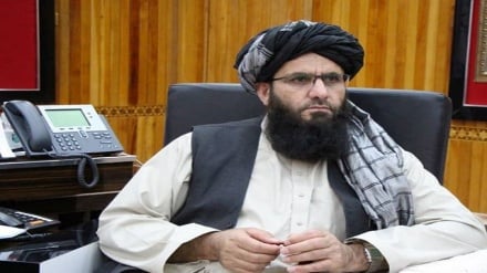 ادعای منابع وزارت داخله طالبان درباره دلیل برکناری معین مبارزه با مواد مخدر