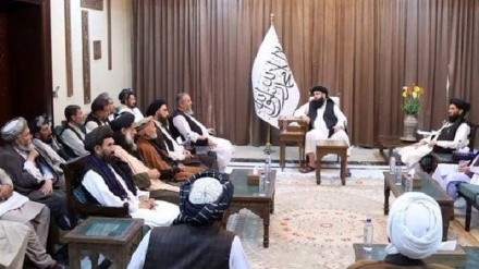  طالبان: شیعیان بخش مهمی از افغانستان هستند  