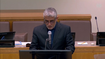  ایروانی: جامعه جهانی به کمک‌های انسان‌دوستانه خود به مردم افغانستان ادامه دهد 