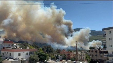 Hatay'da orman yangını: Alevler evlere sıçradı