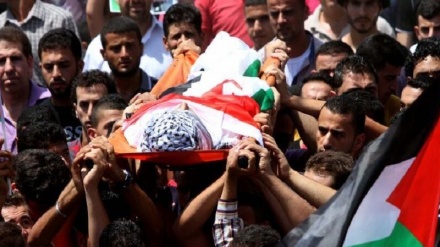 Federazione palestinese dell’America Latina: a Jenin Israele ha commesso un massacro