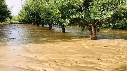 د افغانستان په ځينو ولايتونو کي په راتلونکو ۳ ورځو کې د سېلابونو اټکل شوی