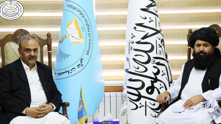 پاکستان او افغانستان په اکاډمیکو ملګرتیاو ټینګار کړی