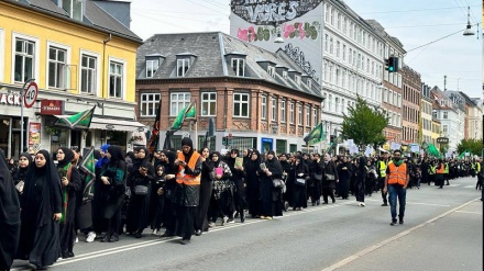 В Дании отмечали 