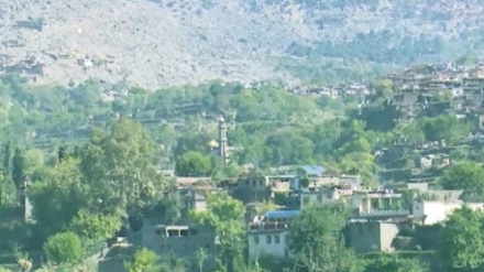 د ننګرهار وسیدونکي د ملي پارک د بیا رغونې په پروژې څارنه کوي نور حال دلته لرو
