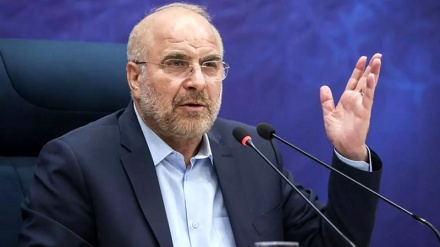 Калибаф: Мусульмане всего мира ответят на оскорбление Корана