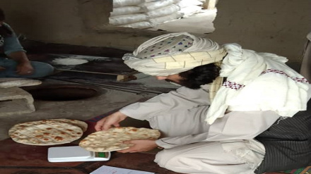 په غزني ولایت کې یو شمېر د وچې ډوډۍ پخلنځي وتړل شول